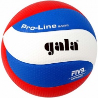 волейбольный мяч gala pro-line top bv5591s